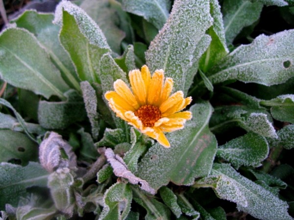 Картина неба мрачная в оправе