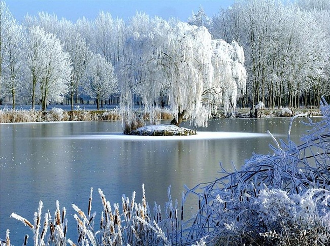 Любовь и времена года! стихи-17