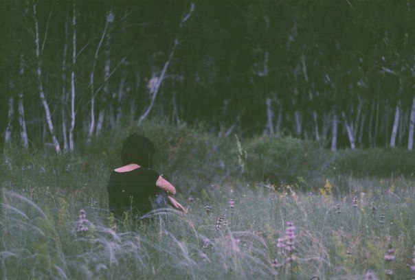 очередной бред