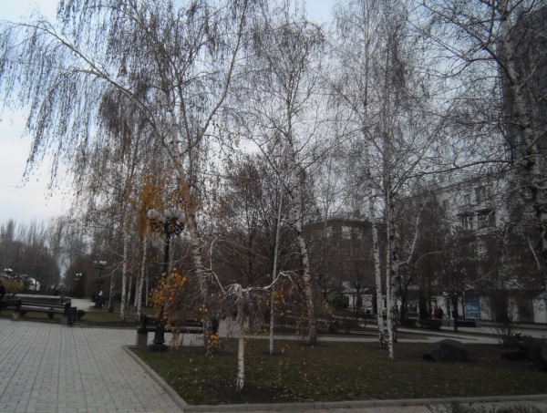 11777.jpg