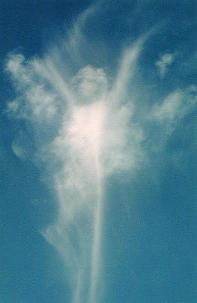 Не обижайте ангелов своих...