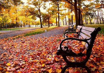 Листва моих солдат