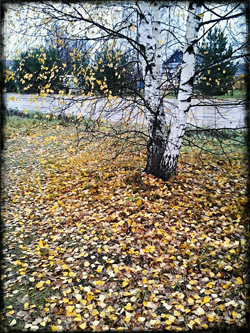 Осенние разглагольствования