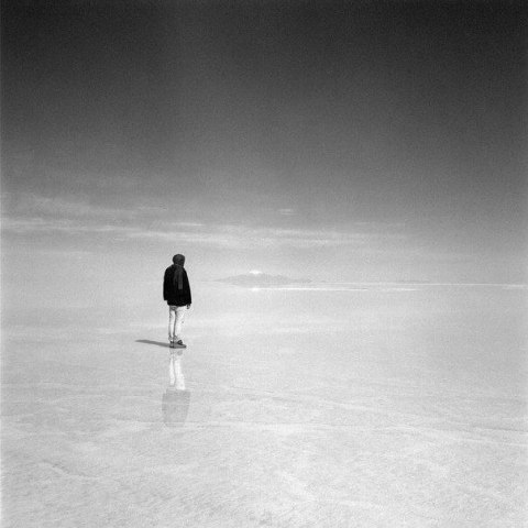 только волки воют на луну?