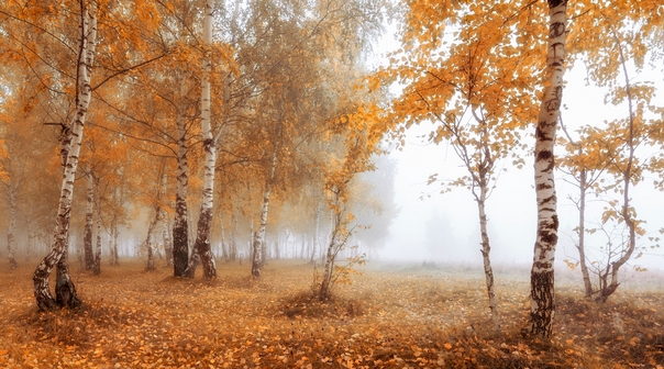 Снова осень