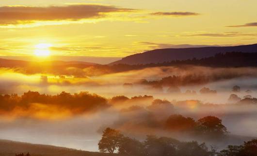 мгновение 20