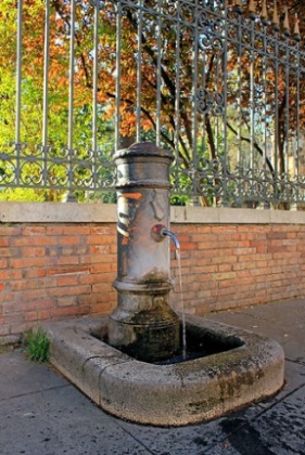 Вода мэра