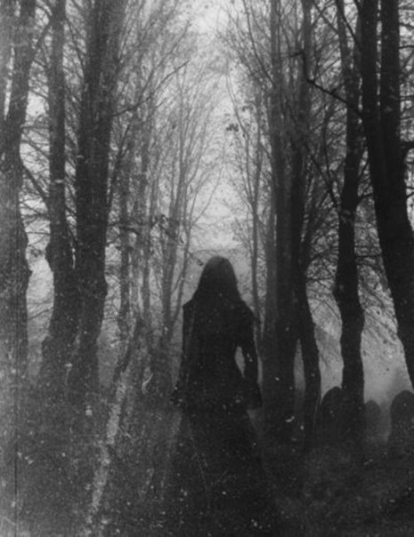 Тёмной ночью без света луны