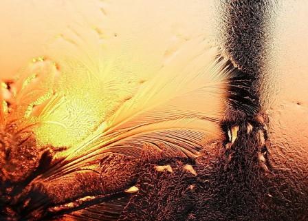 А любовь - перелётная птица