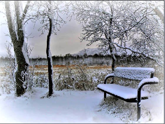Вот и всё, зима настала
