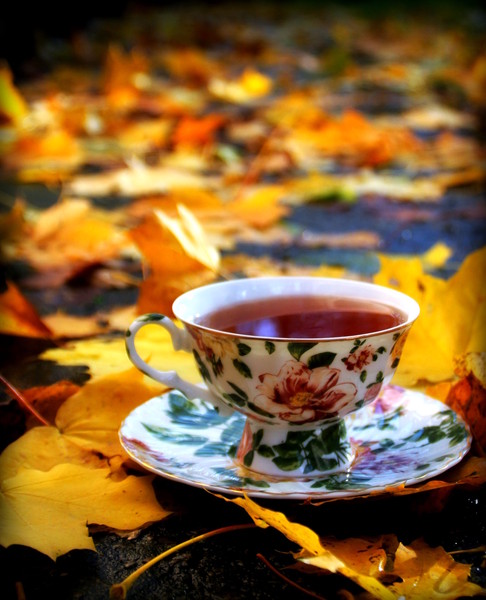 Ностальгия под шум дождя