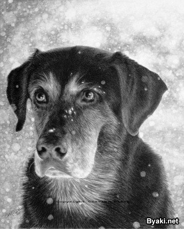 Первый снег