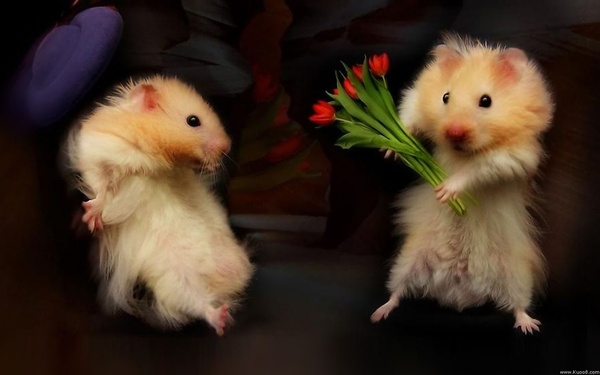 Разгадал мою душу! секс-юмор к фото Яндекс