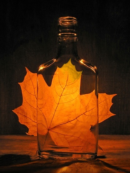 Зимою станет осень