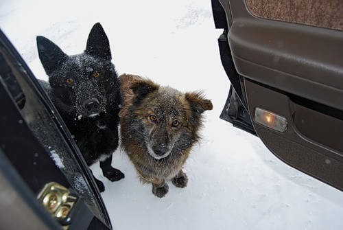 Люди добрые! Посочувствуйте!