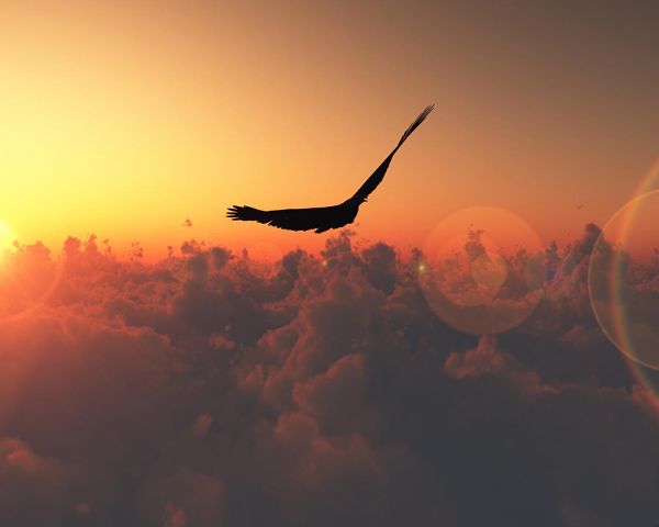 Я бы простила