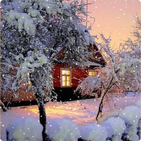 Зимняя ночь