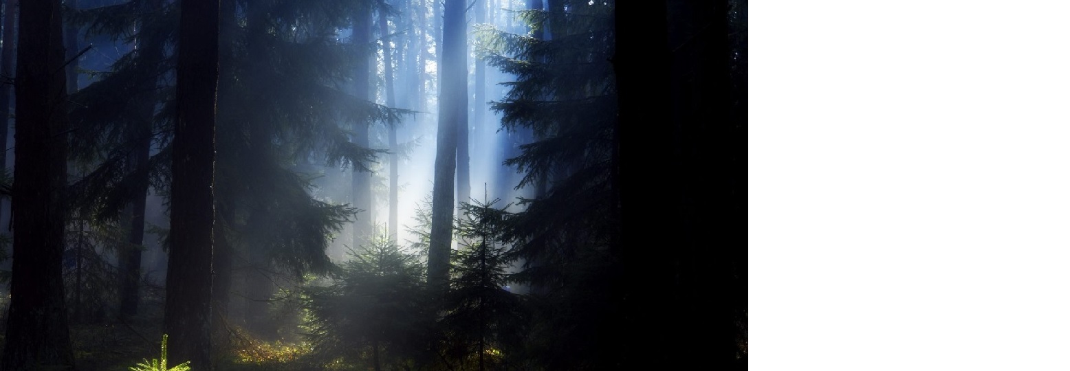 Когда святой от святости освободится