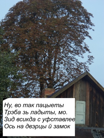 Тута во мы нашлы чытаТеля