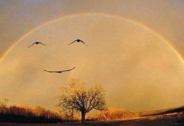 Благодарю...