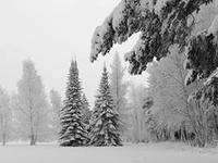 Укрывшись в тишине вечерней...