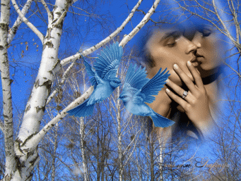 и оживает вдруг функция в нас..