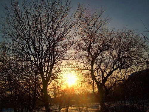 Сахарная падь