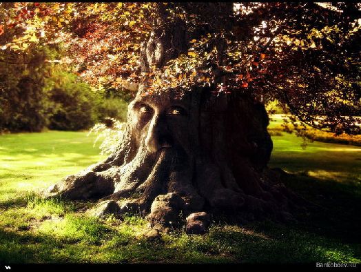 Начало. Эпизод 4. Эпилог