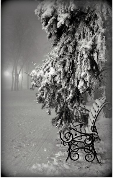 Белые снежинки