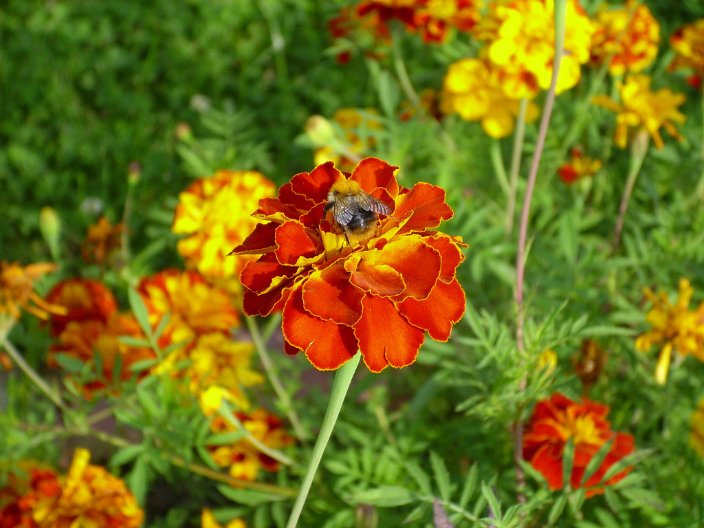 Поздравление Наташи Попал