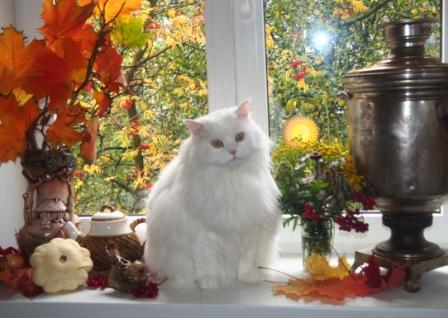 А вы меня где-то ждёте