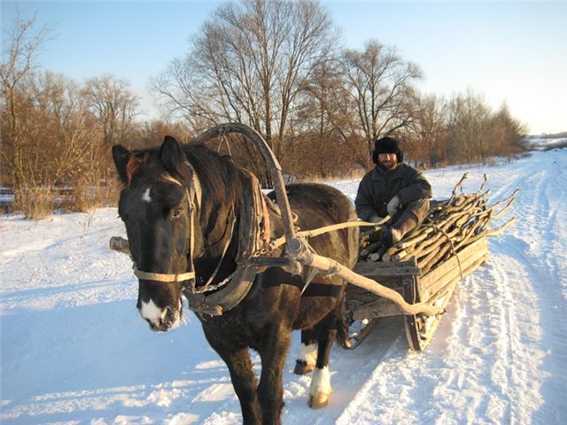 Рано утром...