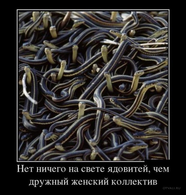 Маразматик под женским именем