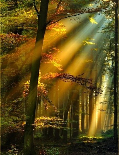 Там стояли силуэты...