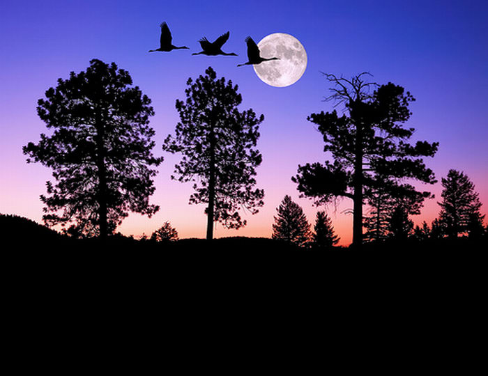 Его сиянье сказочно - красиво