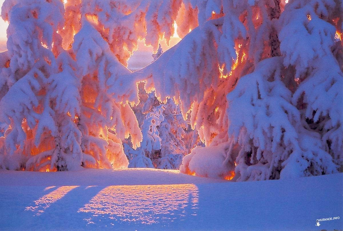 Зима - волшебница