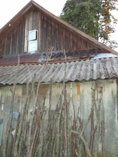 Кому потРэбНа РэкБуська БусьКА ЗЬ,