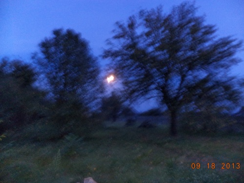 Клубок Сонетав Лир Б