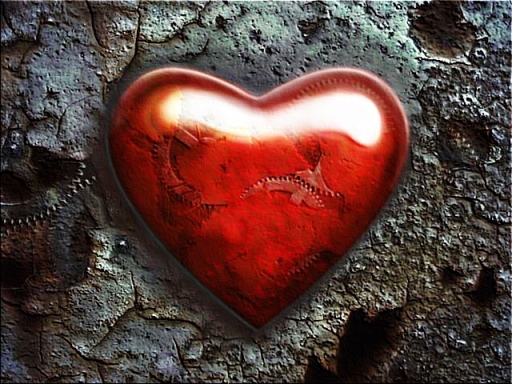 Meine letzte Liebe