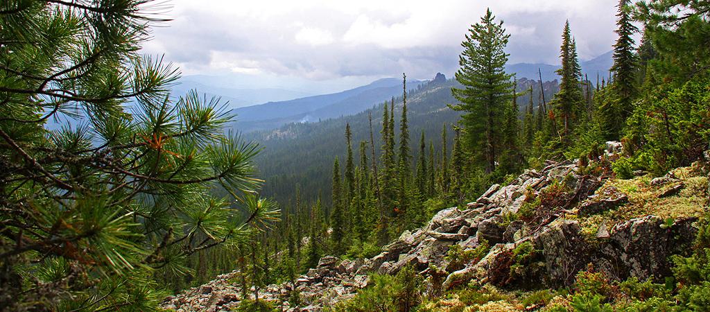 Сослать в Сибирь!