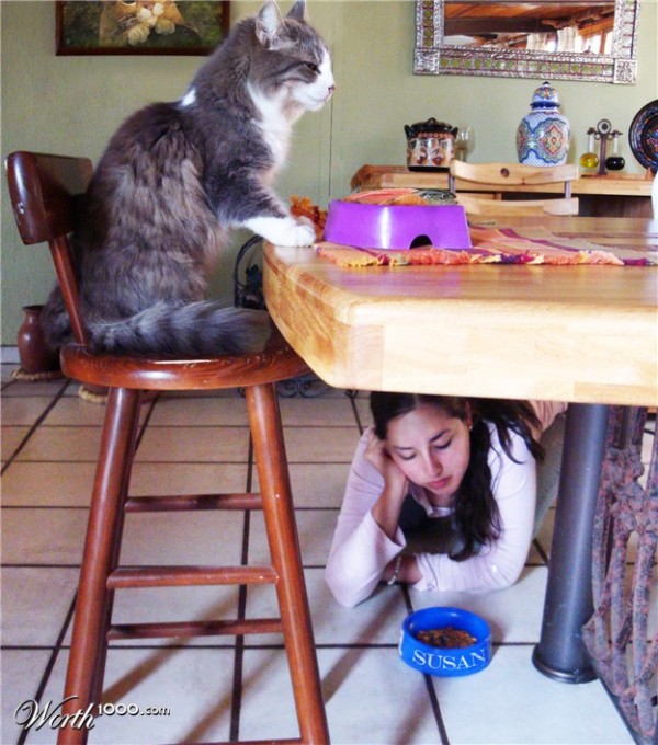 Я и Кошка