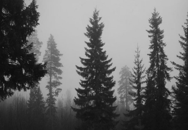 серость и ничего более