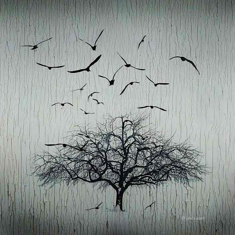 Доля - долюшка