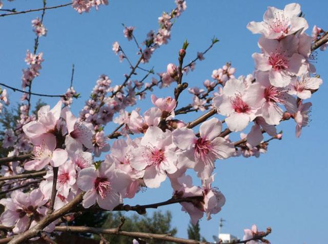 Давай листок с зимой перевернем