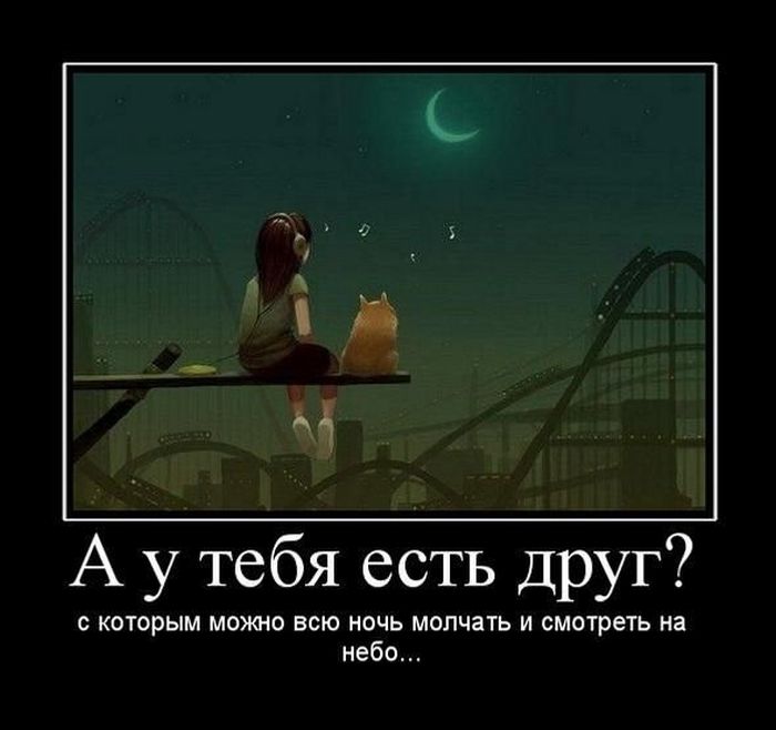 Вы знаете, что такое Кошка?