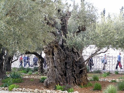 Ничего не теряю