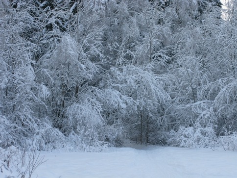 Эпитафия новогодним каникулам 2011 года