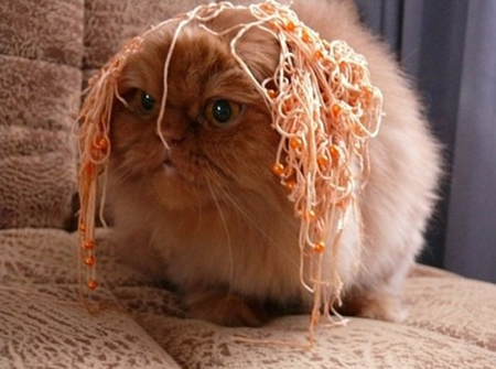 Псевдолавровый венок для меджнунов