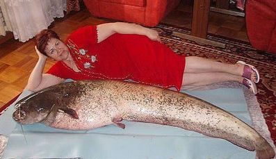 Опять... рыба