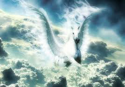 Белая лошадь